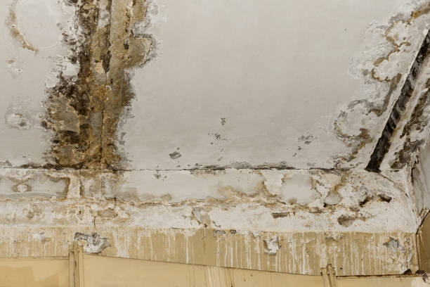 Best Indoor Air Quality Assessment  in Lovejoy, GA